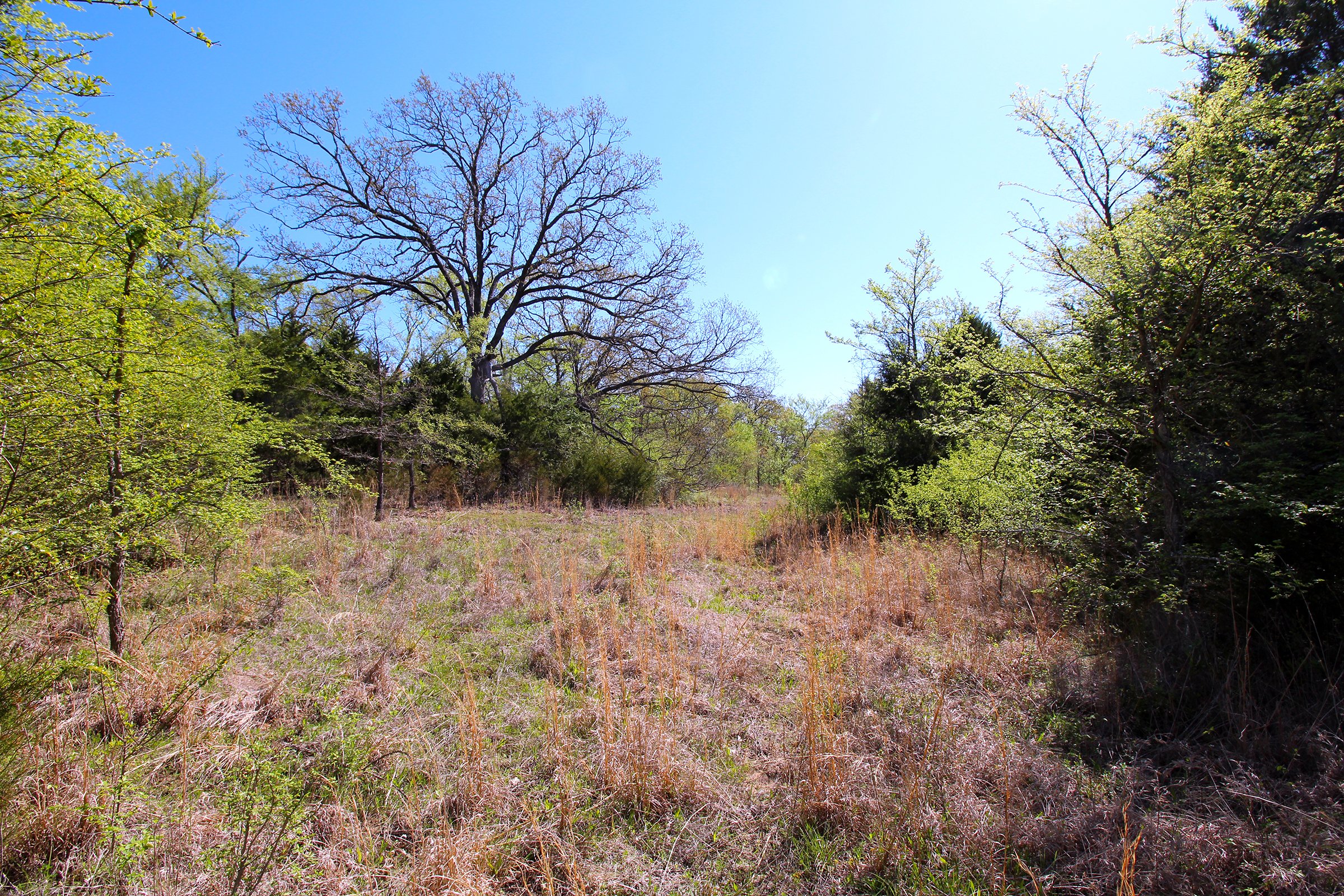 Property photo 16 - LAND AUCTION - 153+/- ACRES OFFERED IN 6 TRACTS IN OKMULGEE, OKLAHOMA